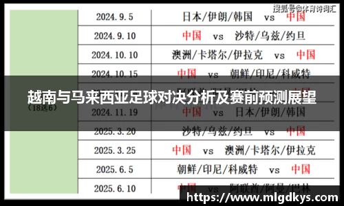越南与马来西亚足球对决分析及赛前预测展望