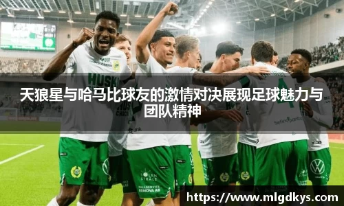 天狼星与哈马比球友的激情对决展现足球魅力与团队精神